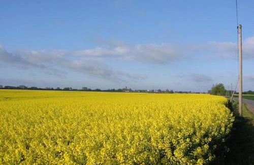 Gut-Rattelvitz-Parterre-A-hochwertig-Sauna-Kamin-eTankstelle-Spielscheune-15-000qm-Parkland - Foto 10
