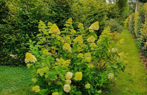 Charmante maison avec jardin au cœur du Parc Naturel Régional de la Brenne, idéale pour télétravail. - FR-1-591-237 - Foto 27