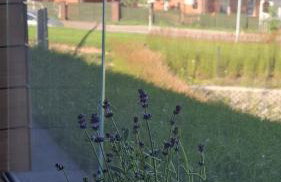 P R A T U M Plus - Foto 41