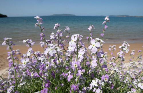 Asterias Studios Finikounda - Photo 22