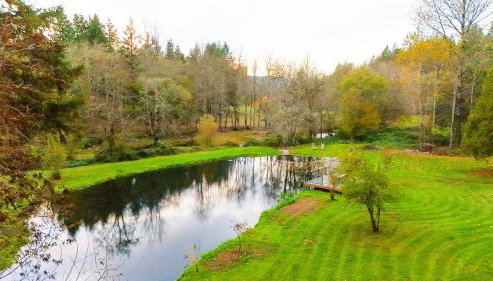 4-Bedroom Chateau in Southern Washington- Luxurious Retreat with Pond & Creek - Foto 3