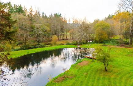 4-Bedroom Chateau in Southern Washington- Luxurious Retreat with Pond & Creek - Foto 3