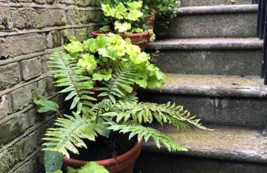 Kings Cross, self-contained house & private garden - Foto 26