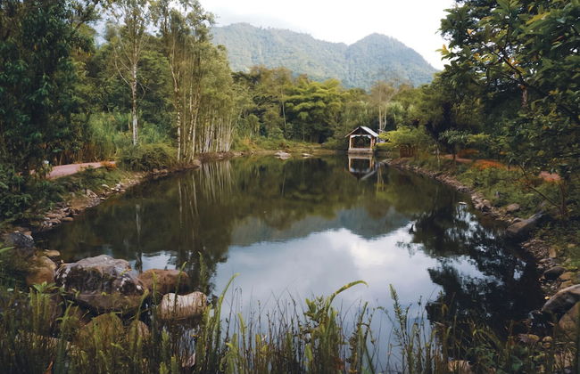 HOSTERIA KUMBHA MELA - Foto 38