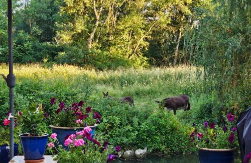 Les Reflets de l 'Indre - Foto 25