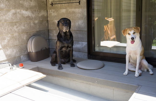 Rakuten STAY VILLA Hakone Sengokuhara - Foto 60