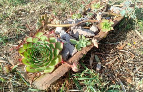 Stone House Sea View Vista Natura Private Garden Quiet Location - Photo 38