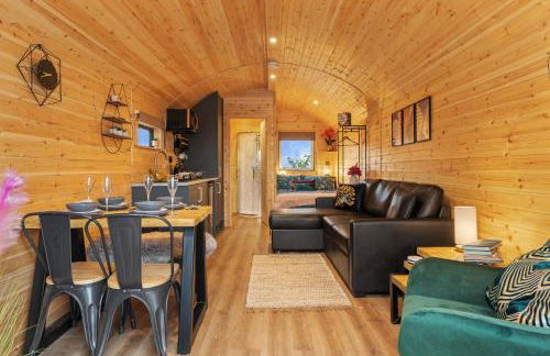 Blaenplwyf Shire Pods - Foto 42