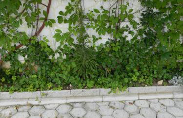 Apartments Kaskada - Foto 54