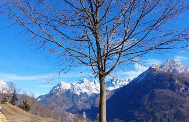 LA POESIA DOLOMITI APARTMENTS - Photo 44