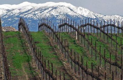 Your Home Away From Home near Wineries & Old Town - Foto 37