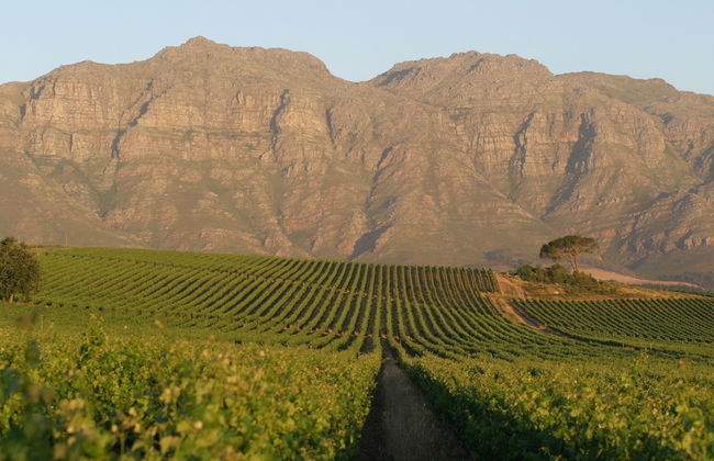 De Zalze Lodge - Foto 67