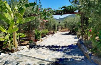 Elaion Thea2-Nies - Foto 16