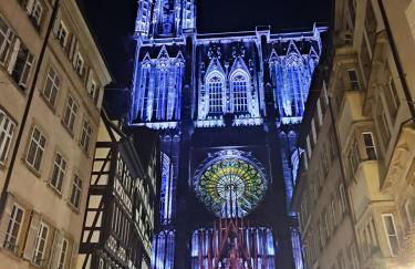 logement 3 pièces à 10 minutes du célèbre marché de Noël de Strasbourg - Foto 18