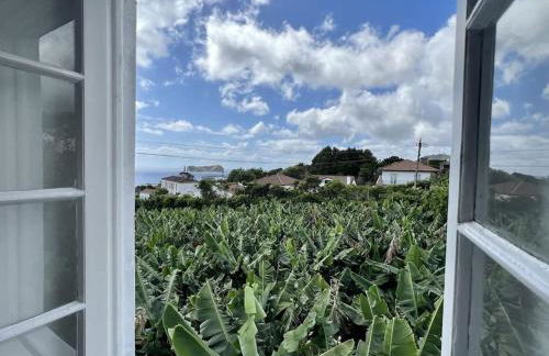 Tainhas Village - Vila Franca do Campo - Photo 16