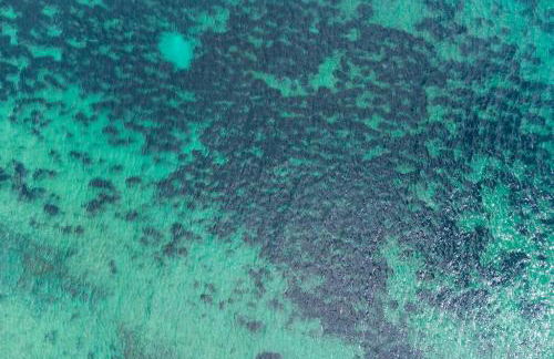 Villa Marina Sant'Elia - Foto 40