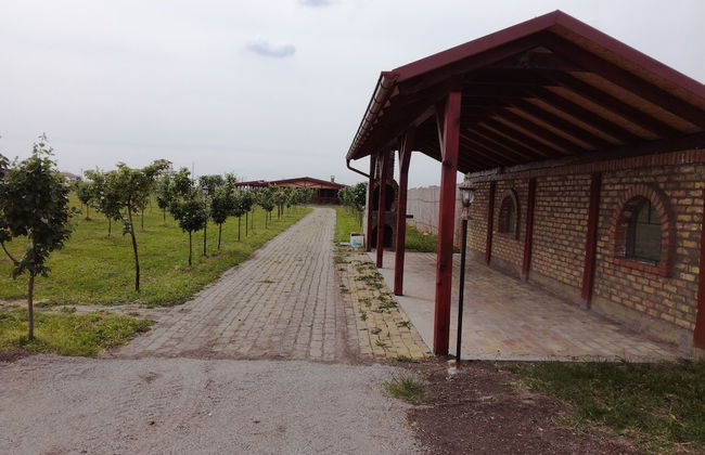 Salas Farma 47 - Photo 48