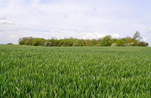 Waggoners Ban - 29579 - Foto 23