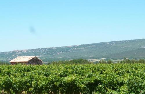 Luberon & Lavandes - Foto 21