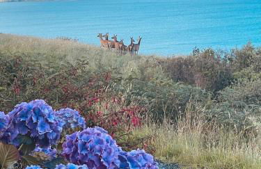 The Rowanberry Suite at Rowan Cottage - Foto 13