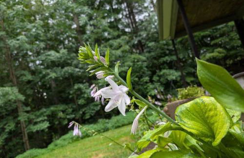 Maple Mountain Getaway - Foto 22