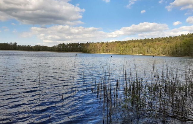 Time out Modern Retreat - Photo 14