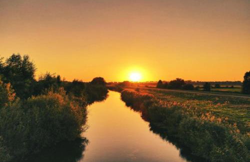 Waldblick Forest Retreat - Foto 63