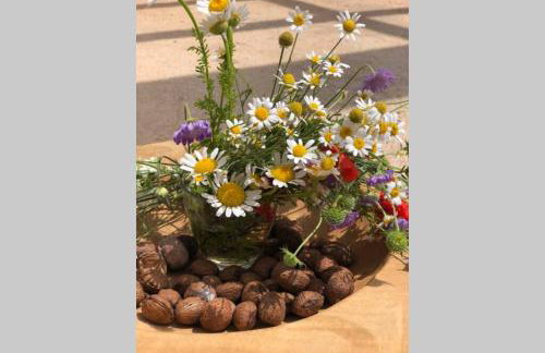 Villa Stanzietta Novigrad for 10 at Olive orchard - Foto 41