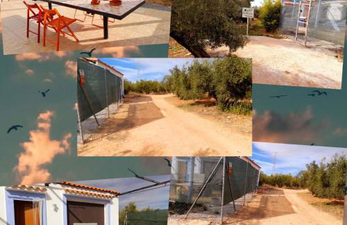 Casa Rural El Olivar Victoria - Foto 2