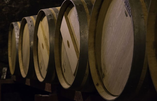 Argiano Dimore - Foto 26