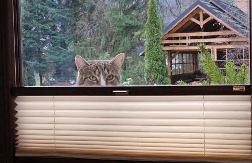 Apartamenty Cicha Dolina - Foto 35