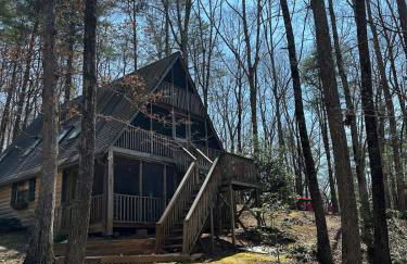 Bearly Behavin - Foto 22