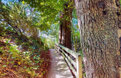 Calamity Cabin - Foto 26