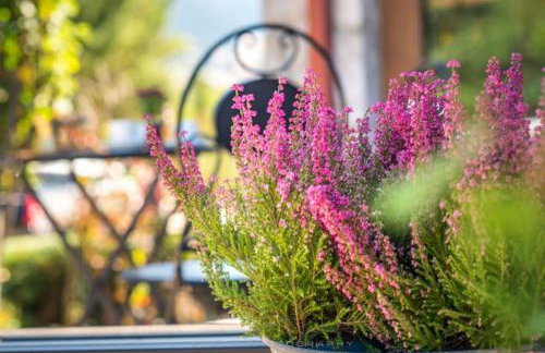 Arachova Mountain Villa - Foto 58