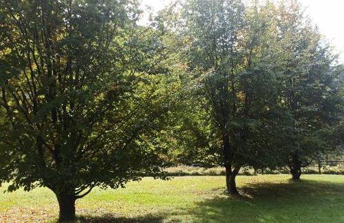 IL Bosco di Campo Marzano Sunlight - Foto 45