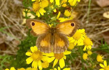 Villa La Croisée des Chemins - Foto 43