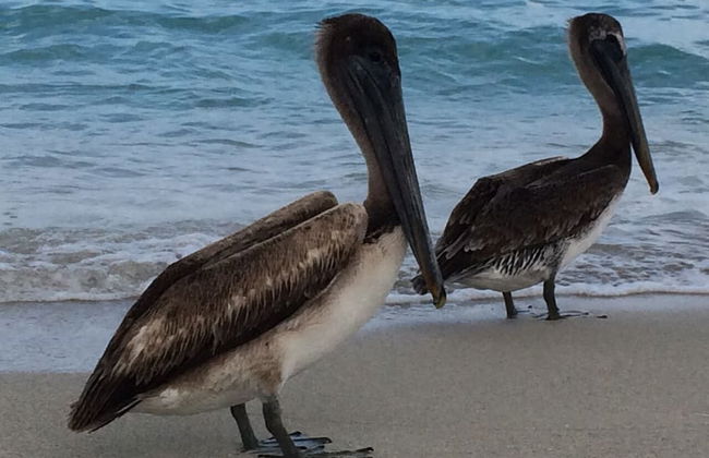 Holiday rental in Cárdenas with garden and terrace - Photo 46