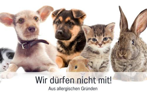 City-Apartment Germersheim - Photo 20