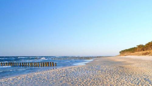 Borner Schlafwandler - Foto 2