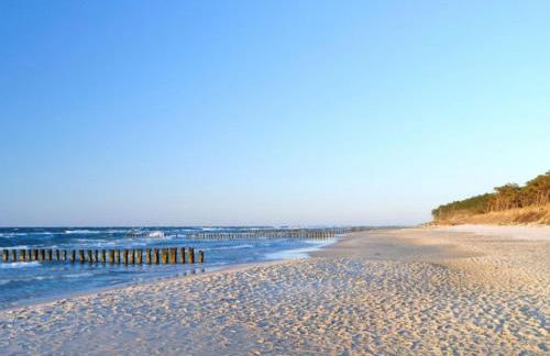 Borner Schlafwandler - Foto 2