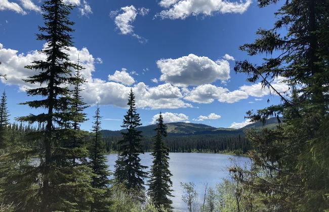 The Rustic Resort - Foto 13