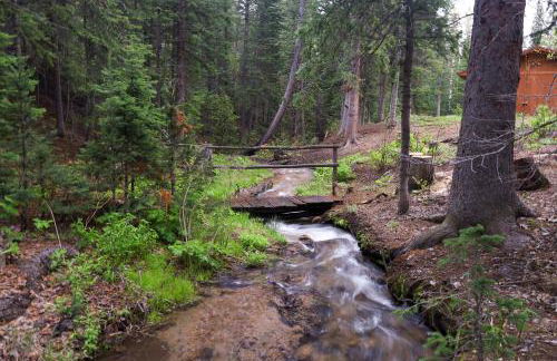 Moon Creek Cabin cabin - Foto 23