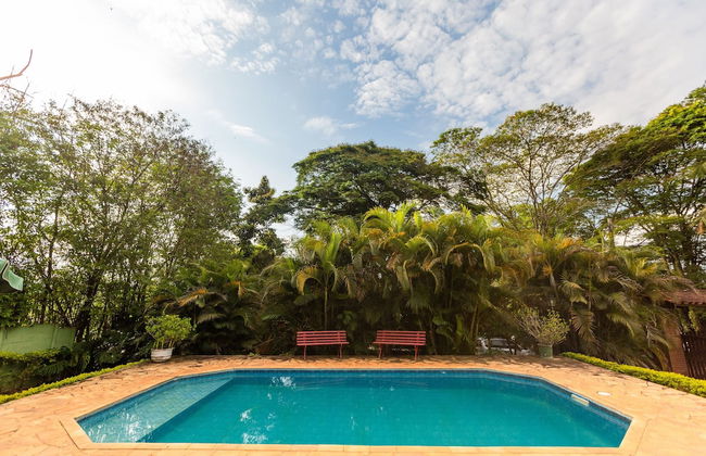 Yellow Village - Foto 24