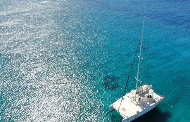 Catalina Island und Schnorcheln an The Wall - Katamaran-Tour - Foto 7