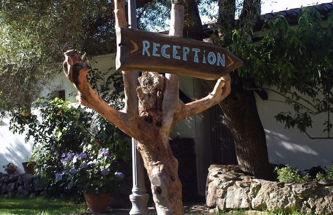 Country House S'Ozzastru - Foto 4