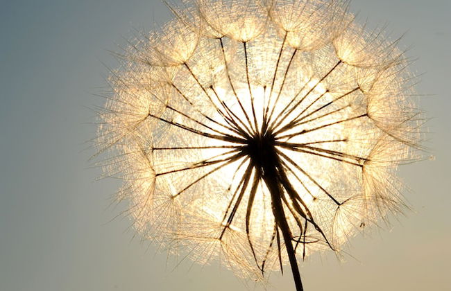 Andros Maisonettes - Photo 29