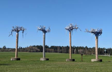 Wohlfühlmomente im Nordschwarzwald - Foto 20