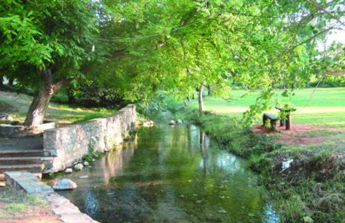 homonatura petrinum - Foto 40