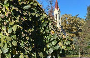 Różany Ogród - Foto 22