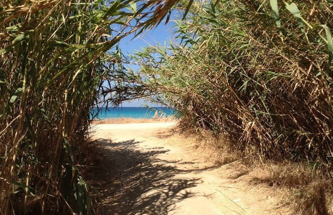 Kastraki Dream near the beach - Foto 60